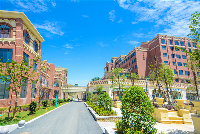 1530082076450542.jpg 5.jpg