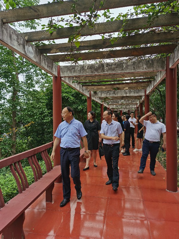 1625743124449553.jpg e496834ba5ba689ddd1f8780007e33b~1.jpg