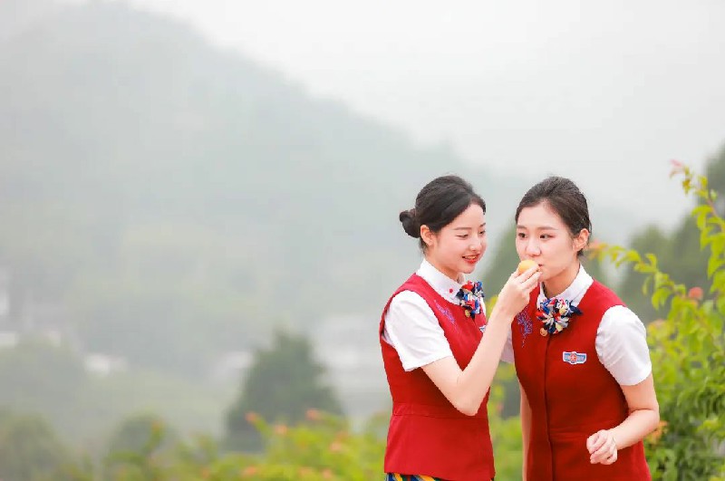 1653967958612428.jpg 312312.jpg