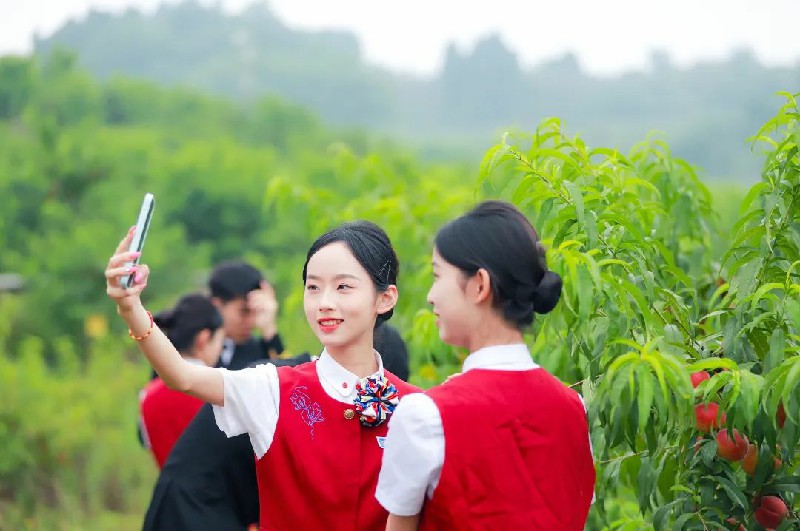 1653968126127029.jpg 62240.jpg