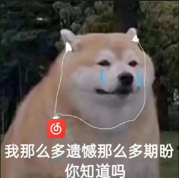 1679631325500975.jpg 96b7a67d4f2369c84eb78c60618c585.jpg