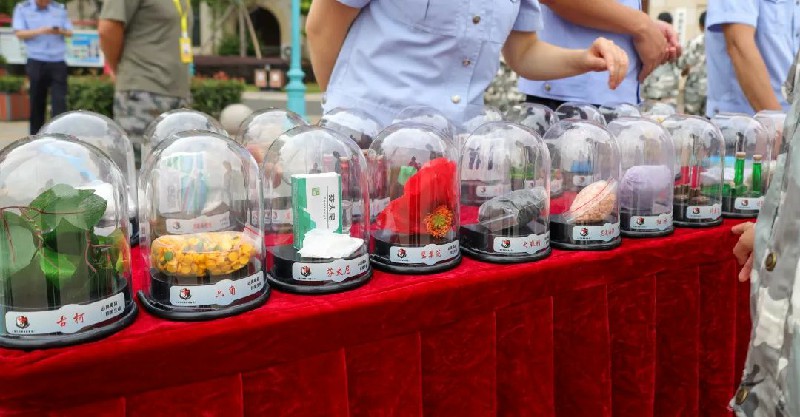 1689734788112248.jpg 6498113a34d22968a1ed61d26432a04.jpg