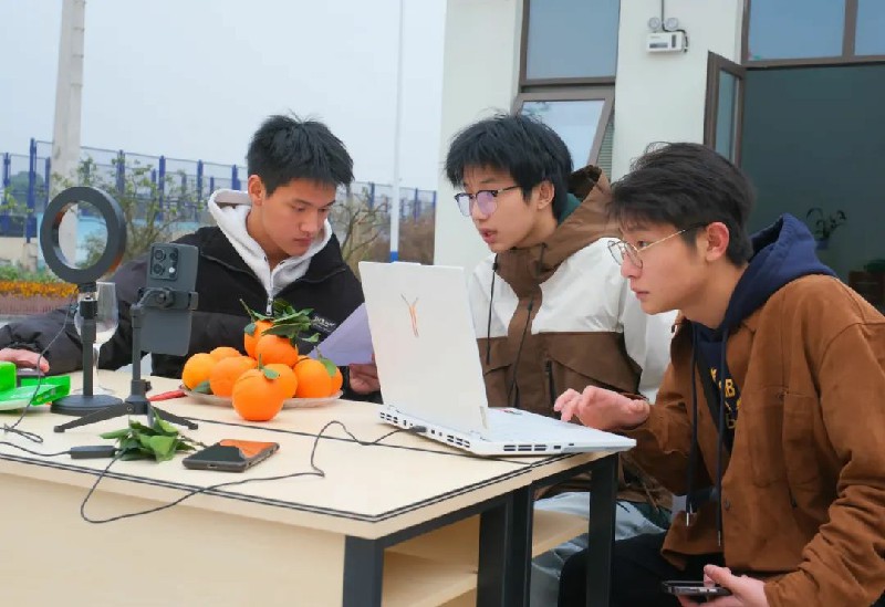 1703473654210984.jpg 6.jpg