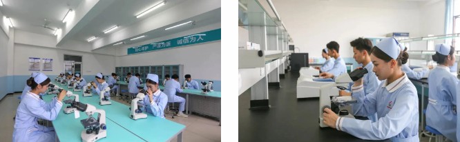 1708832906269465.jpg 17.jpg