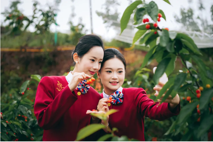 1714191404331775.png image.png