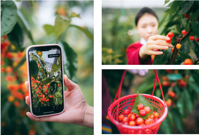 1714191420837484.png image.png