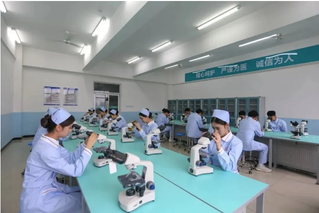 1718077185358928.png image.png