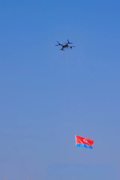 1732085510824488.jpg 10.jpg