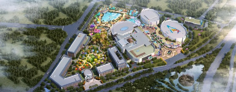 1733364529687217.jpg 1.jpg