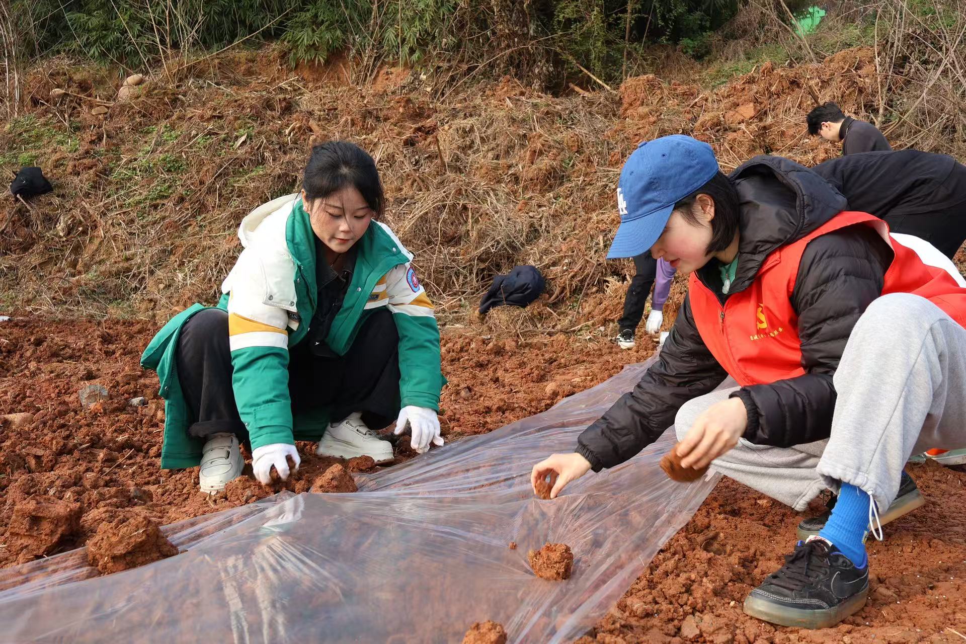 1740810480352129.jpg 82501740810473_.pic.jpg