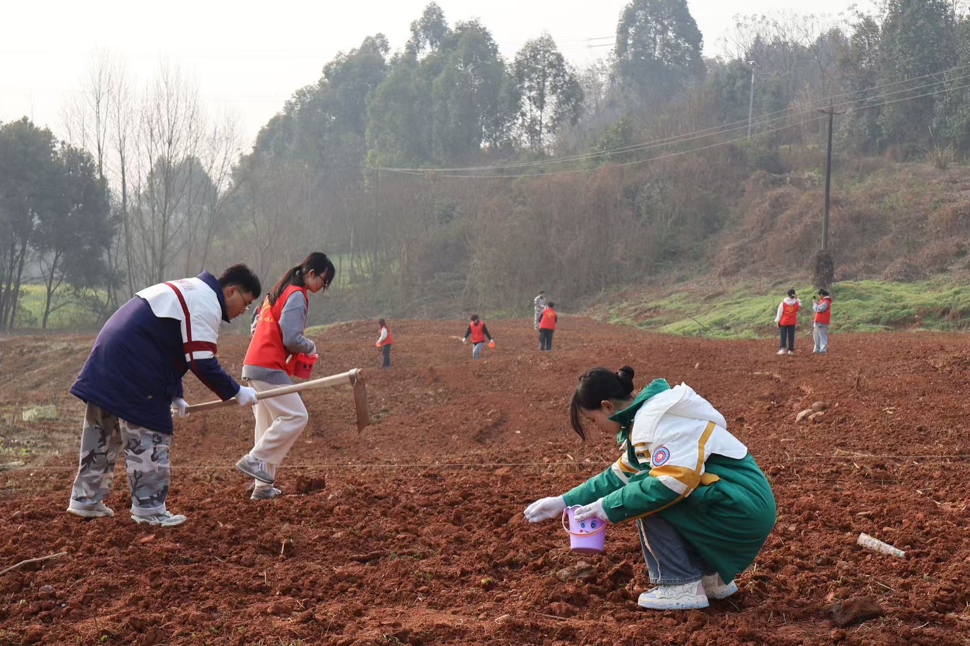 1740810545513627.jpg 82511740810474_.pic.jpg