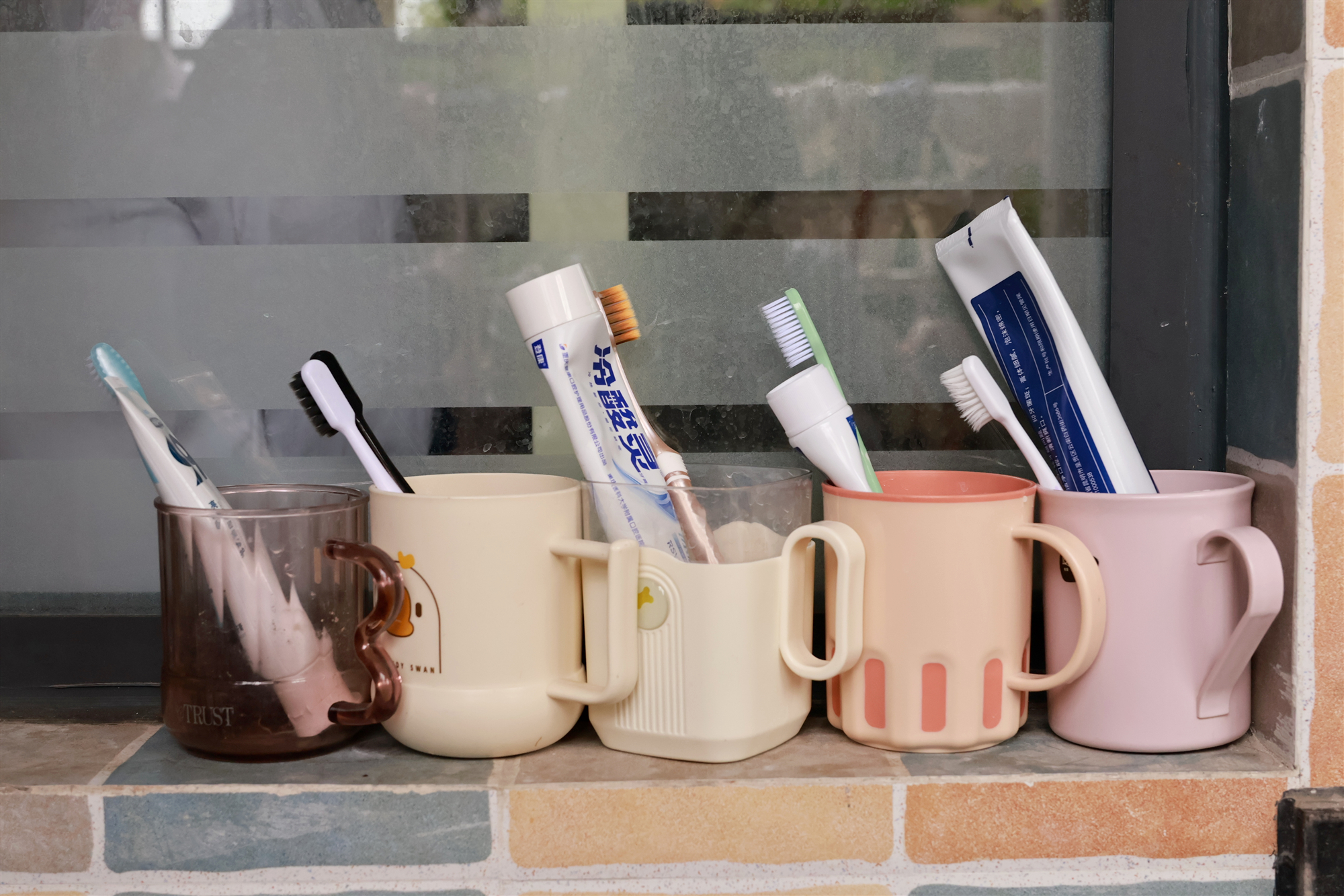 1758185872134874.jpg IMG_9811.JPG